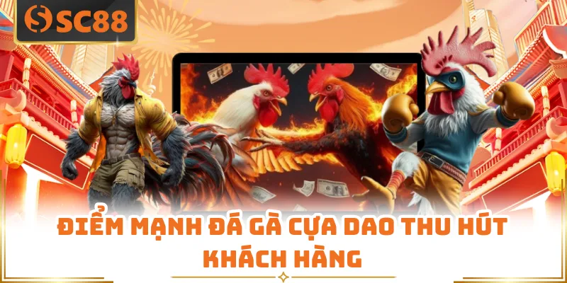 Điểm mạnh đá gà cựa dao thu hút khách hàng