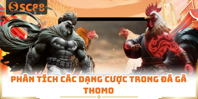 Phân tích các dạng cược trong đá gà Thomo 
