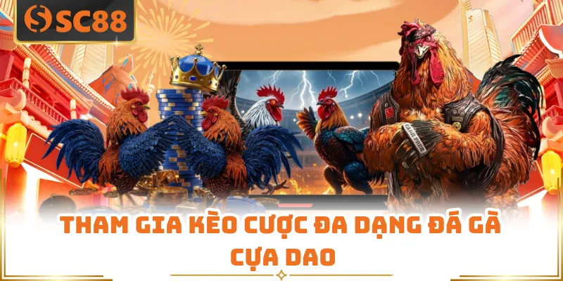 Tham gia kèo cược đa dạng đá gà cựa dao